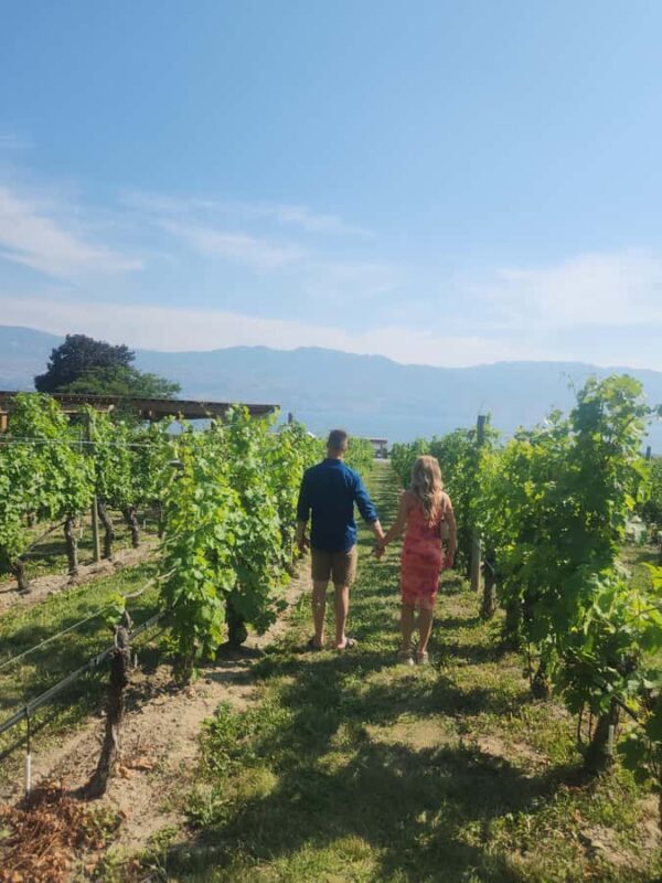 Kelowna: Private Or Public West Kelowna Wine Tours - Kelowna: Private or Public West Kelowna Wine Tours — A Detailed Review