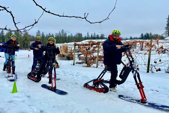 Kelowna Snow E-Biking Adventure with Lunch, Wine Tasting & S'mores - Final Thoughts