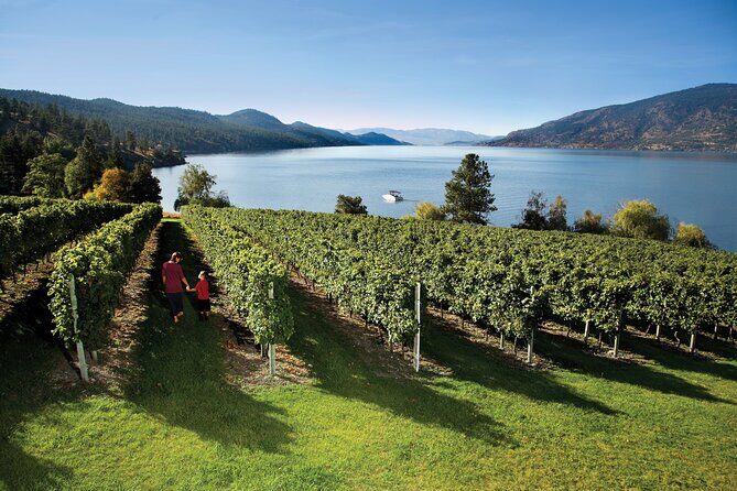 Kelowna South Slopes Wine Tour - 5 wineries on the tour - Discover the Kelowna South Slopes Wine Tour: A Perfect Blend of Vineyards and Views