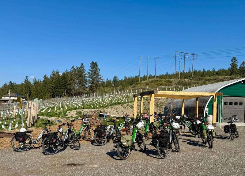 Kelowna: Wine Tasting by E-bike, Smartphone Guide & Lunch - Itinerary Breakdown: From Wineries to Lunch and Honey Bees