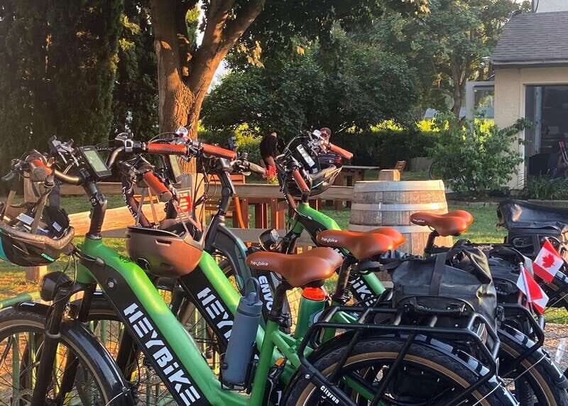 Kelowna: Wine Tasting by E-bike, Smartphone Guide & Lunch - Final Thoughts
