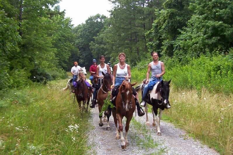 Kemer Horse Safari, pick up from Kiris, Beldibi, Goynuk - Value Analysis: What Does $40 Get You?