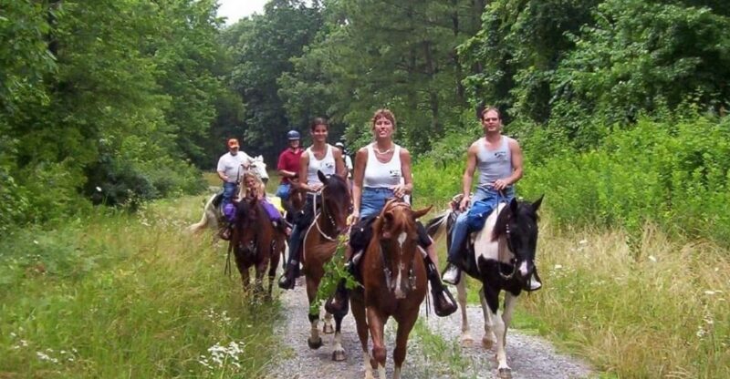 Kemer Horse Safari, pick up from Kiris, Beldibi, Goynuk - FAQs