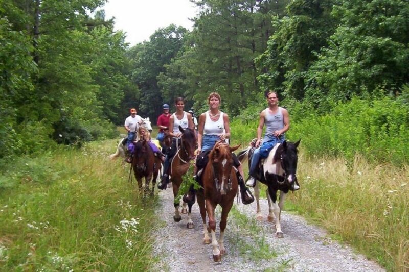 Kemer Horse Safari, pick up from Kiris, Beldibi, Goynuk - Final Thoughts