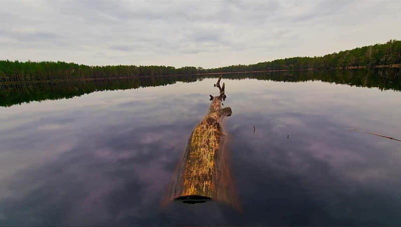 Kemeri N Park, Jurmala, Lake Melnezers & White Castle Hotel - Who Will Love This Tour?