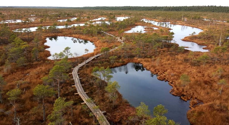 Kemeri National Park & Baltic Seaside Tour Bog Boardwalk - Practical Details and Value
