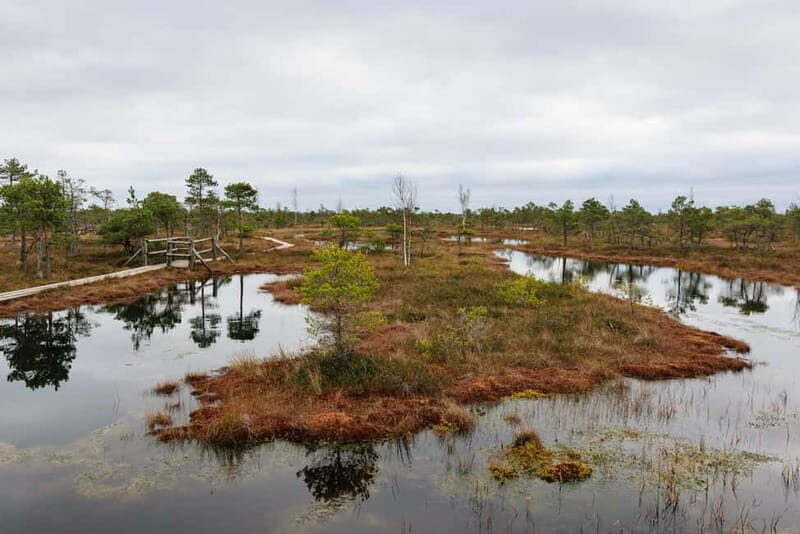 Kemeri National Park & Baltic Seaside Tour Bog Boardwalk - Frequently Asked Questions