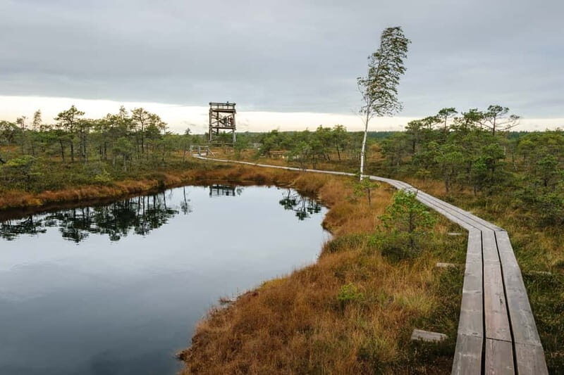 Kemeri National Park & Baltic Seaside Tour Bog Boardwalk - Final Thoughts