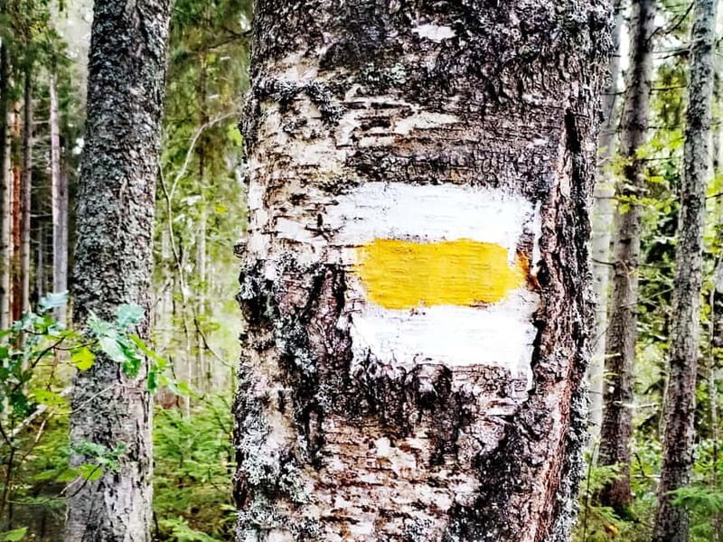 Kemeri National park Hiking trail (16 km) - Exploring Latvias Kemeri National Park: A 16 km Hiking Adventure