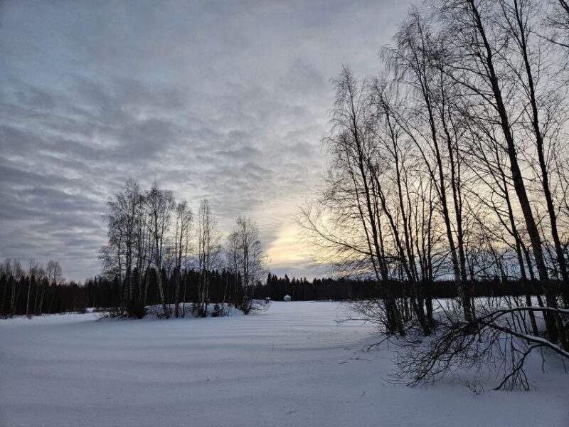 Kemi: Finnish Sight-Skiing Experience in Lapland - A Deep Dive into the Experience