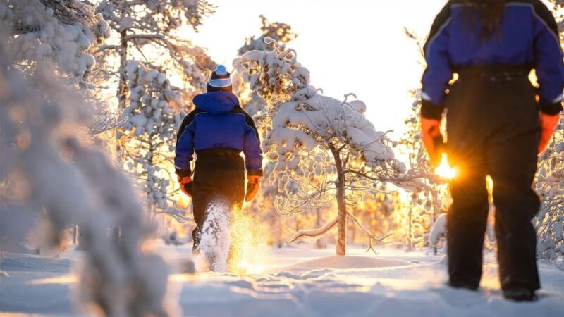 Kemi-Tornio: Nature tour with snowshoes - Kemi-Tornio: Nature Tour with Snowshoes — A Detailed Look