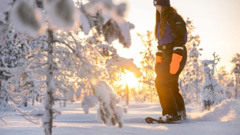 Kemi-Tornio: Nature tour with snowshoes - Key Points
