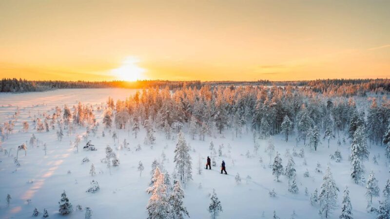 Kemi-Tornio: Nature tour with snowshoes - Who Should Consider This Tour?