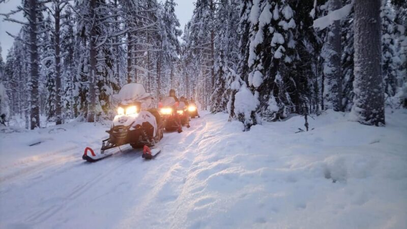 Kemi-Tornio: Snowmobile Forest Safari w/ Hot Drink & Snacks - Final Thoughts