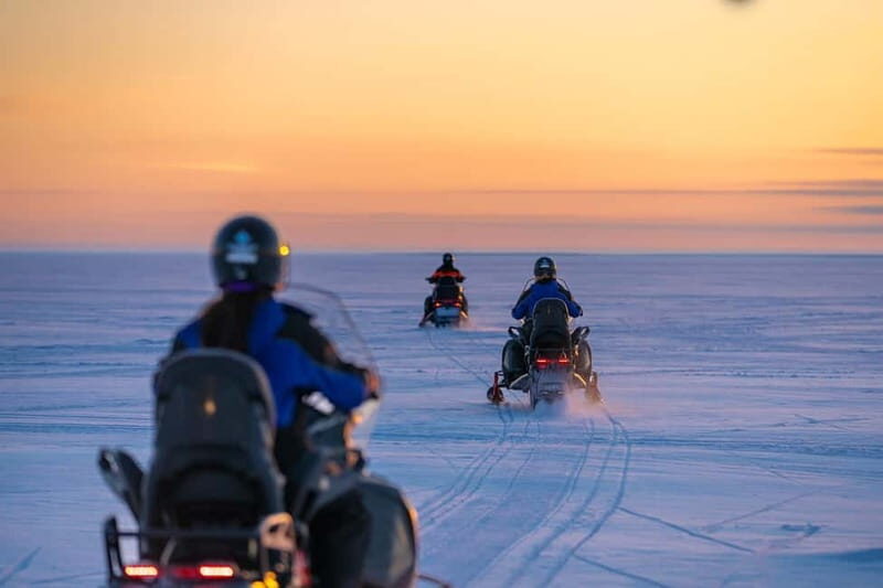 Kemi-Tornio: Sunrise snowmobile safari - Discovering the Snowmobile Safari