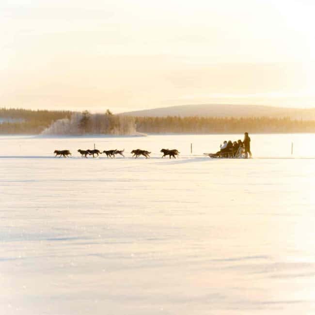 Kemijärvi: Insider 10 km Self-Drive Husky Sledding Adventure - Who Will Love This Tour?