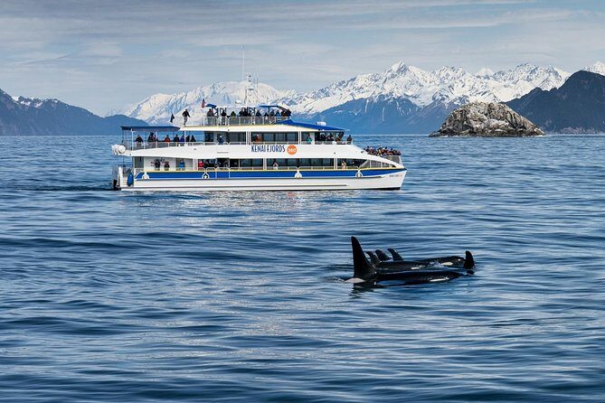 Kenai Fjords National Park Glacier & Wildlife Cruise - Final Thoughts