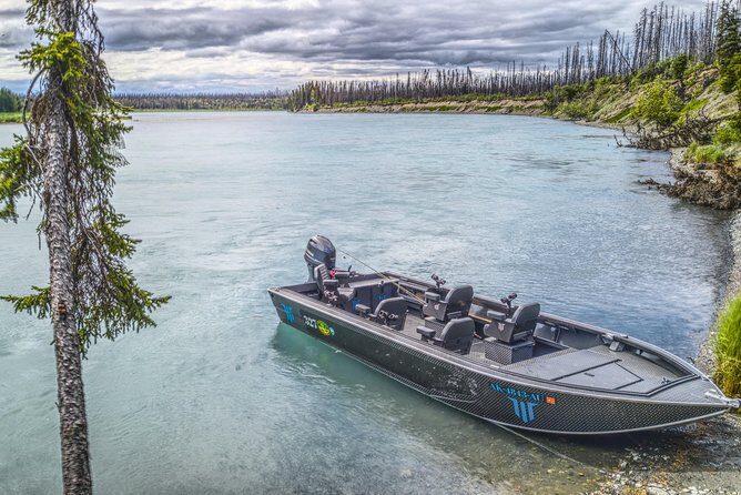 Kenai River Fishing Charter - Why This Tour Offers Great Value