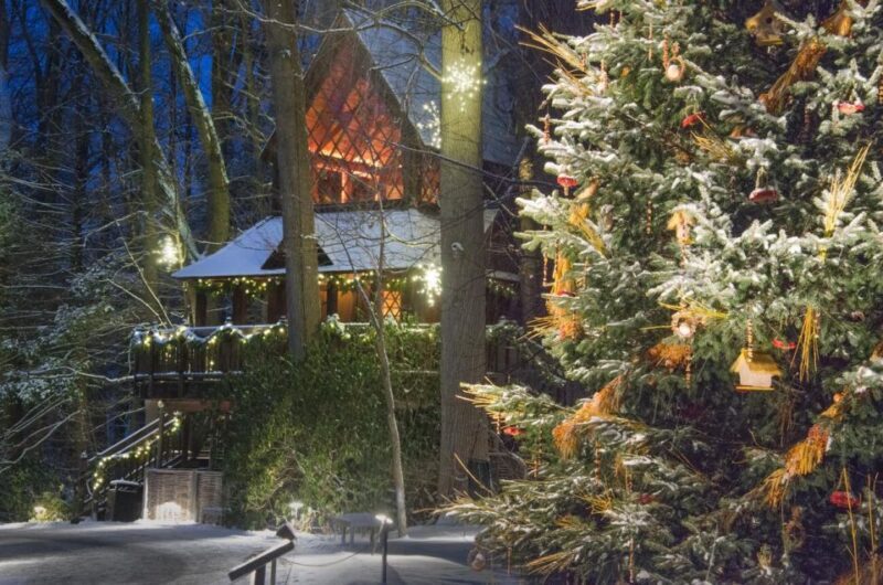 Kennett Square: Longwood Gardens Admission Ticket - Experience Longwood Gardens: A Day of Natural Beauty in Pennsylvania