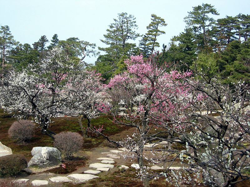 Kenrokuen Garden Admission Ticket - Ponds, trees, and the pleasure of taking your time