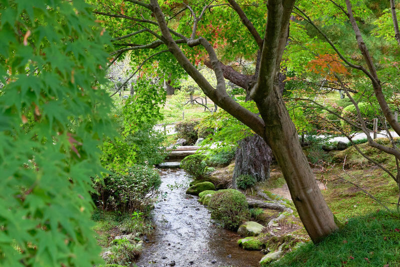 Kenrokuen Garden & Kanazawa Castle Historical Tour - Booking details to check