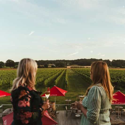 Kent: Balfour Vineyard Walk and Wine Tasting - Kent: Balfour Vineyard Walk and Wine Tasting — A Genuine Taste of Englands Wine Scene