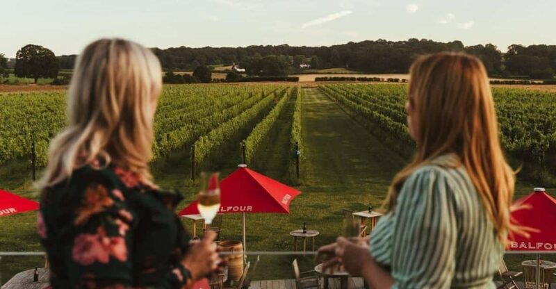 Kent: Balfour Vineyard Walk and Wine Tasting - Key Points