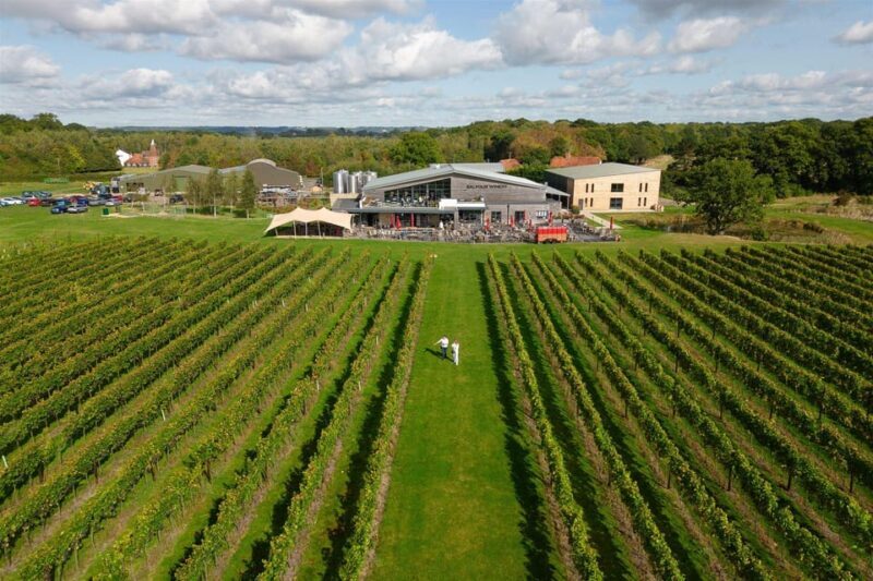 Kent: Balfour Vineyard Walk and Wine Tasting - The Sum Up