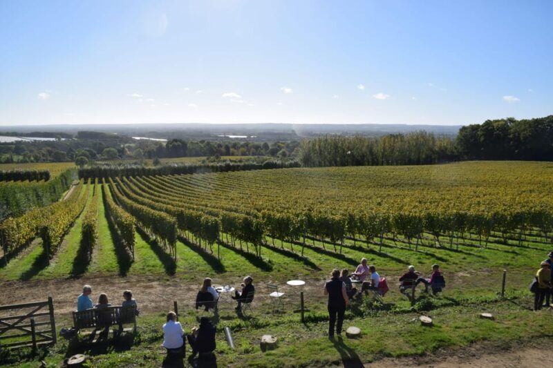 Kent: Yotes Court Vineyard Tour and Tasting - Key Points