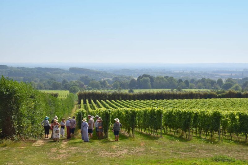 Kent: Yotes Court Vineyard Tour and Tasting - A Detailed Look at the Yotes Court Vineyard Tour and Tasting