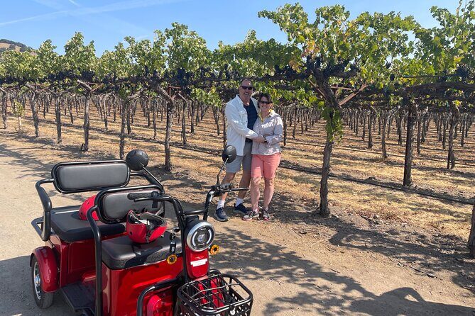 Kenwood Wine Country Electric Trike 3 Hours Tour - A Practical Look at the Kenwood Wine Country Electric Trike Tour
