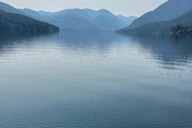 Keogh River Bear Kayaking Tour - A Close-Up Look at the Keogh River Kayaking Adventure