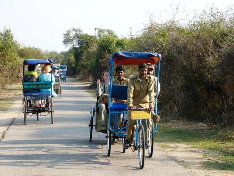 Keoladeo National Park Tickets and Guided Tour - Keoladeo National Park Tickets and Guided Tour: A Deep Dive into Rajasthan’s Birding Paradise