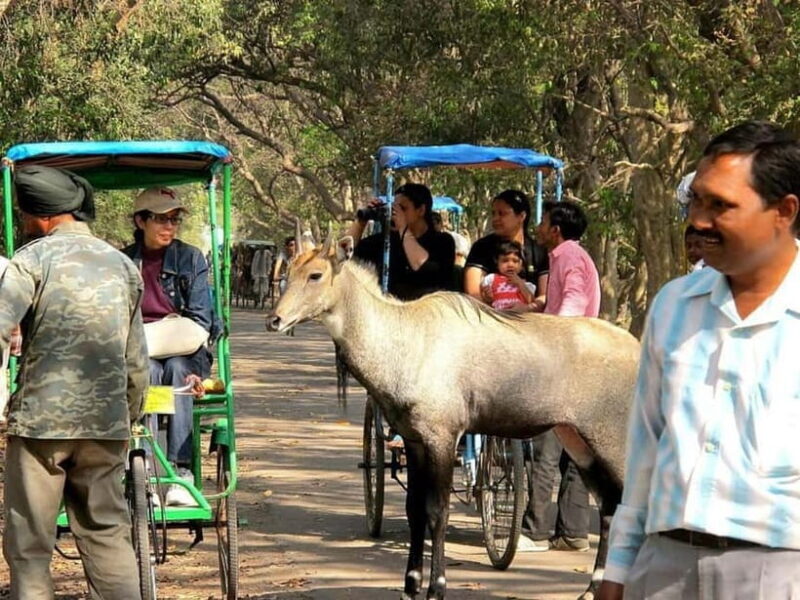Keoladeo National Park Tickets and Guided Tour - Who Will Love This Tour?