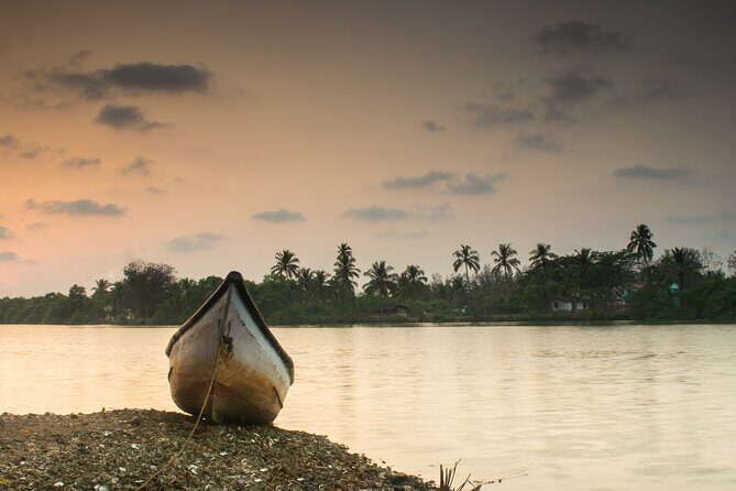 Kerala 6 Day Tour Munnar Thekkady Alleppey Kovalam Beaches - The Experience in Detail