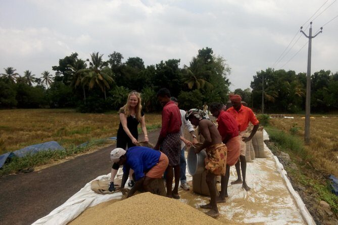 Kerala Backwater Cruise in Exclusive Water Taxi Explores Narrows - Final Thoughts