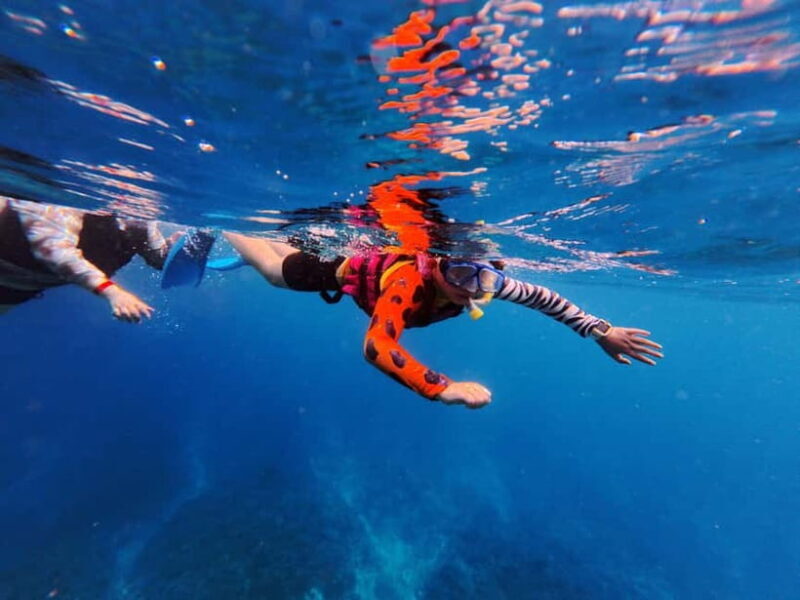 Kerama Half-Day Snorkeling Tour - The Sum Up