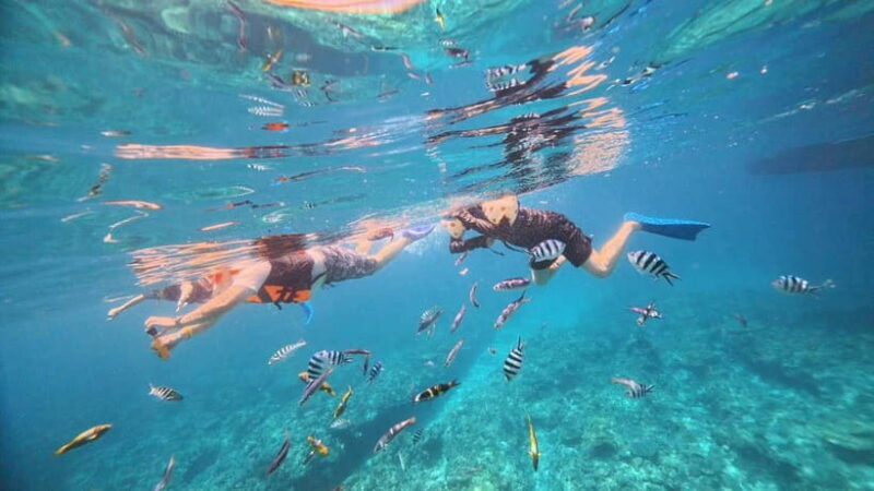 Kerama Half-Day Snorkeling Tour - FAQ