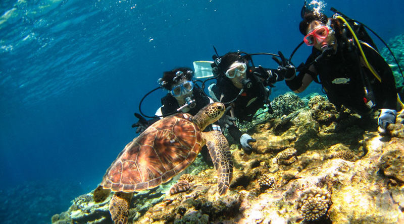 Kerama Island Diving Experience - The crew, equipment, and boat comforts