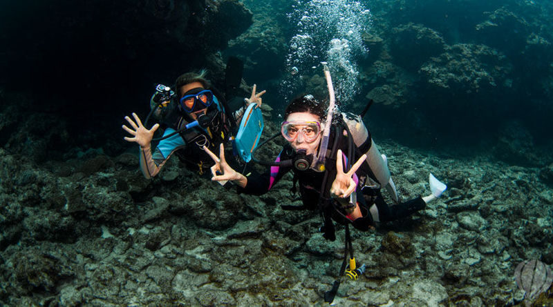 Kerama Island Diving Experience - Is the price fair for a full day at sea?