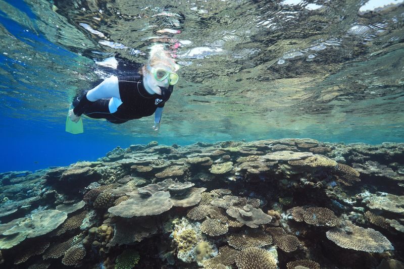 Kerama Island Snorkeling Experience - The morning starts early at Naha