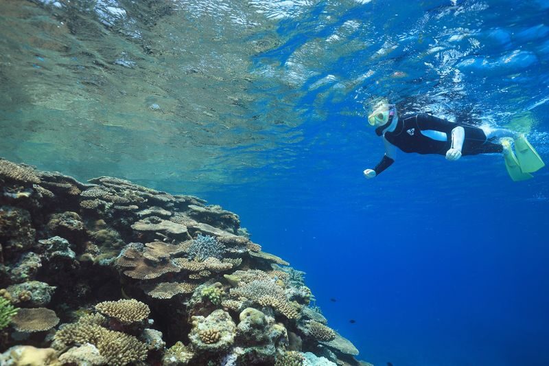 Kerama Island Snorkeling Experience - What the price covers, and what it does not