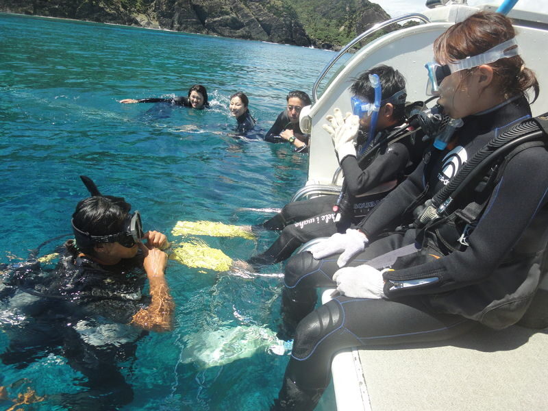 Kerama Islands National Park Diving/Snorkeling tour (Hotel pick-up) - What the $106.45 starting price covers