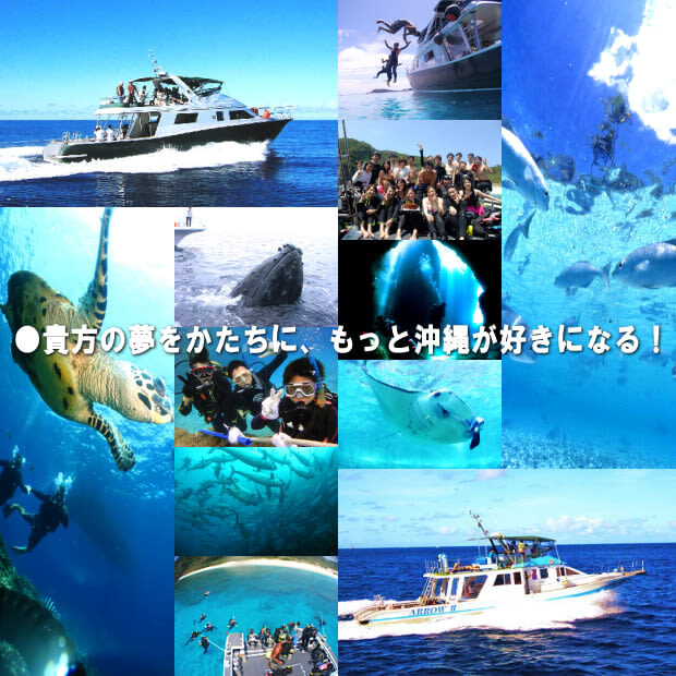 Kerama Islands National Park Diving/Snorkeling tour (Hotel pick-up) - Should you book it?