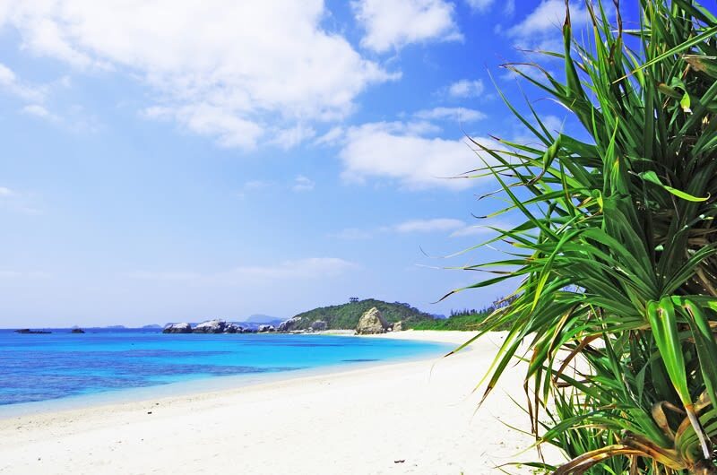 Kerama Tokashiki Island Sea Bathing and Snorkeling Experience - What the included facilities and lunch mean