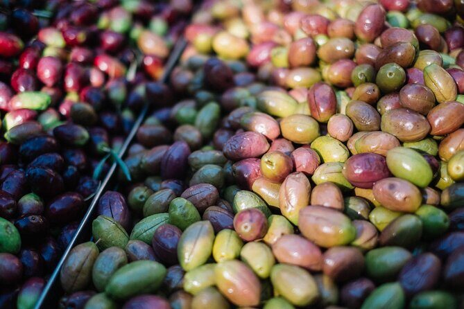 Keramikos Food Tour in Athens - The Experience from the Traveler’s Perspective
