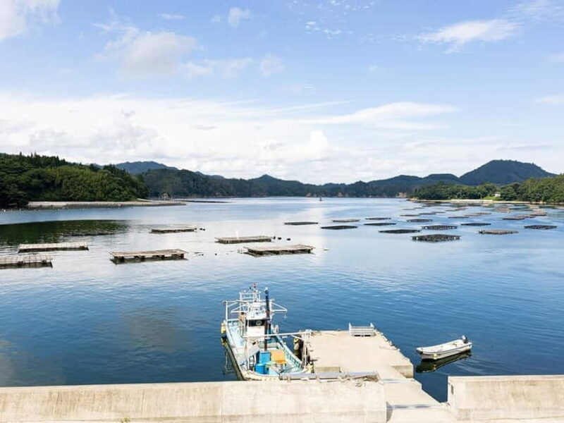 Kesennuma: Local Food & Sake Dinner Pairing Experience - A Deep Dive into the Kesennuma Food & Sake Experience