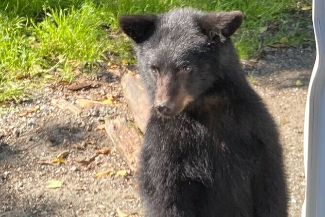 Ketchikan Alaska private tour - Key Points