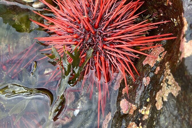 Ketchikan Alaska private tour - FAQs