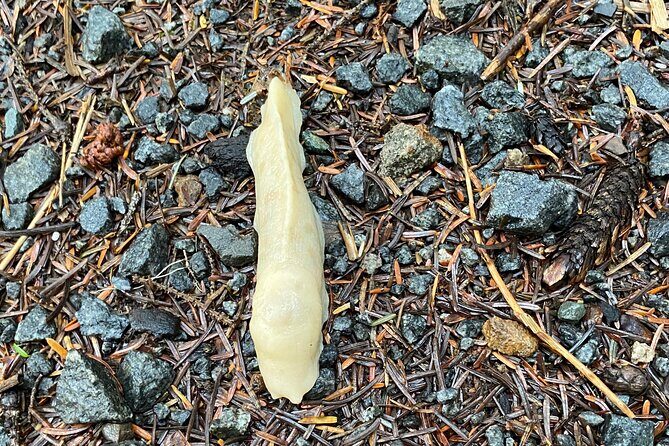 Ketchikan Alaska private tour - Final Thoughts